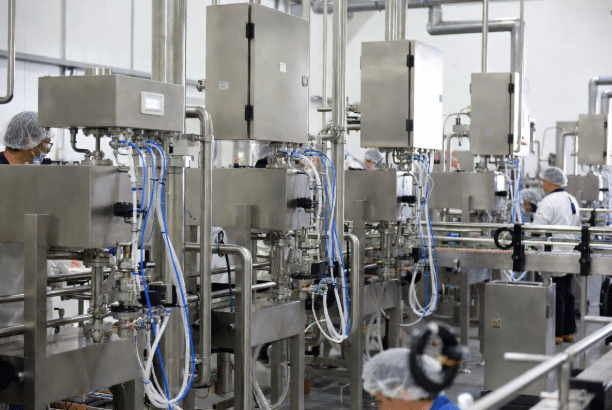 Maintenance engineer or technician inspecting documentation and custom cables in a food processing facility for specification and reliability verification
