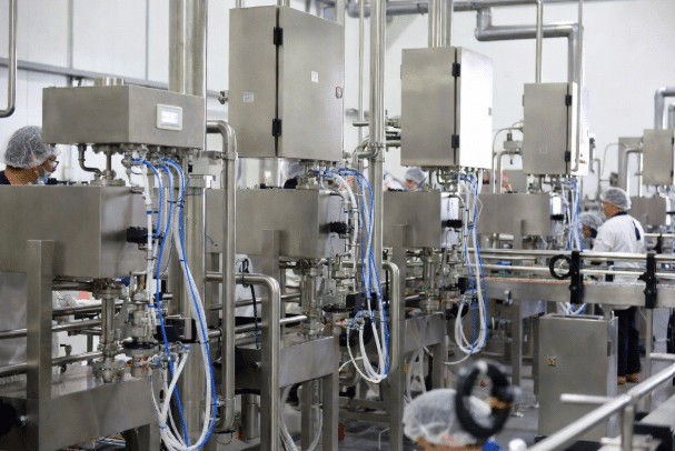 Molded hygienic washdown cordsets with sealed connectors attached to sensors on stainless steel food and beverage processing machinery